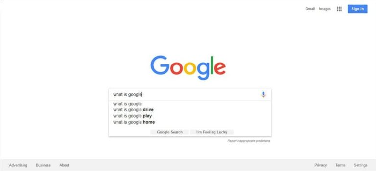 Google search engine 