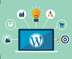 WordPress courses